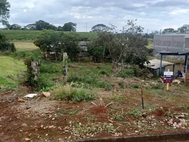 Terreno / Lote para Venda em Pato Branco/PR São Roque