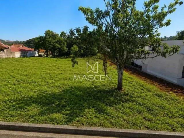 Terreno / Lote para Venda em Pato Branco/PR Santa Terezinha