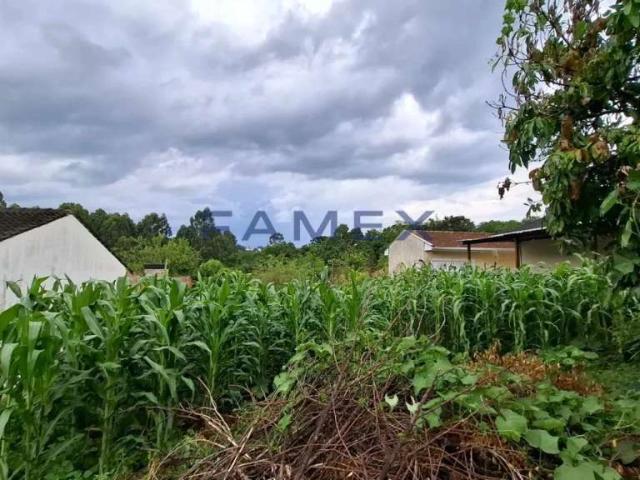 Terreno / Lote para Venda em Pato Branco/PR Santa Terezinha
