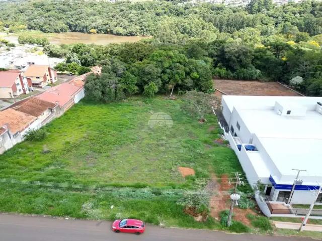 Terreno / Lote para Venda em Pato Branco/PR Santa Terezinha