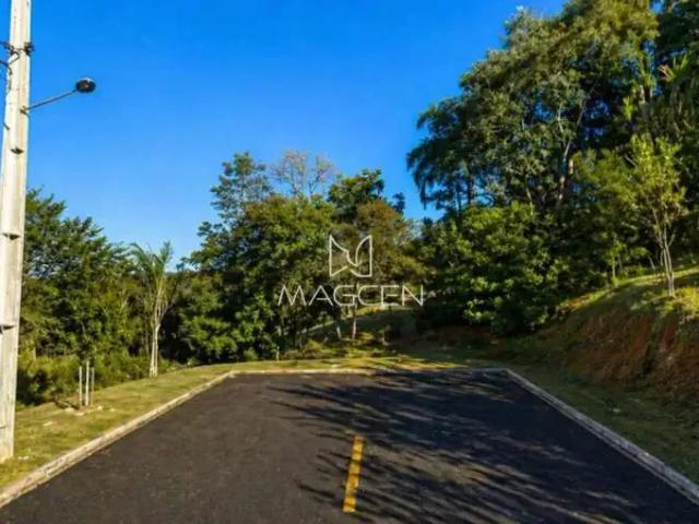 Terreno / Lote para Venda em Pato Branco/PR Vila Isabel