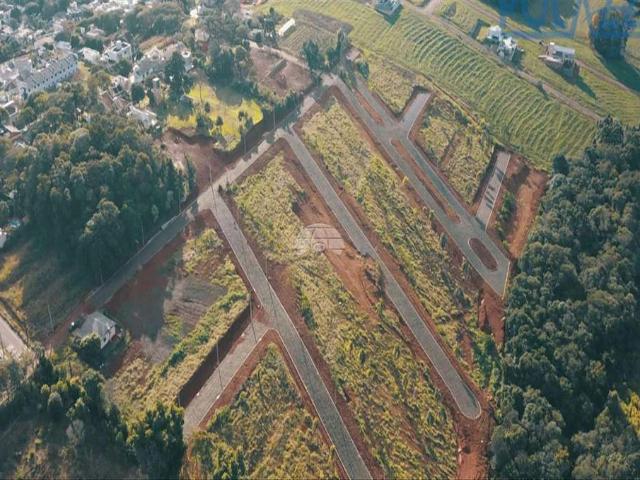 Terreno / Lote para Venda em Pato Branco/PR Vila Isabel