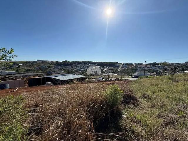 Terreno / Lote para Venda em Pato Branco/PR Vila Isabel