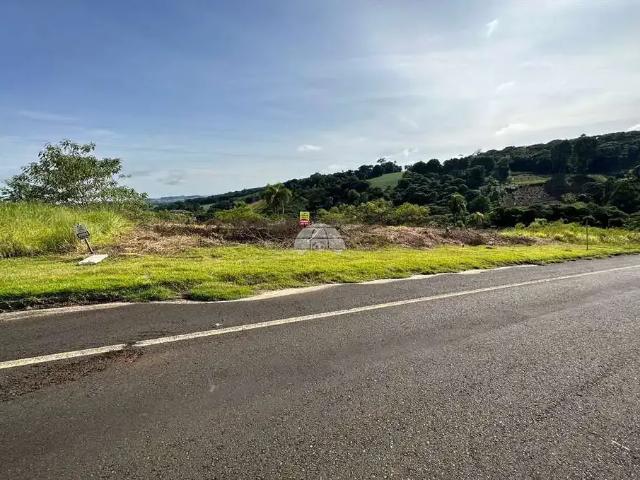 Terreno / Lote para Venda em Pato Branco/PR Vila Isabel