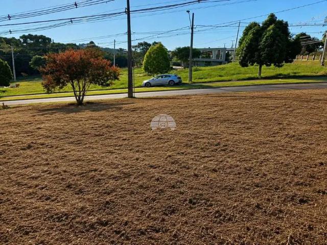 Terreno / Lote para Venda em Pato Branco/PR Vila Isabel