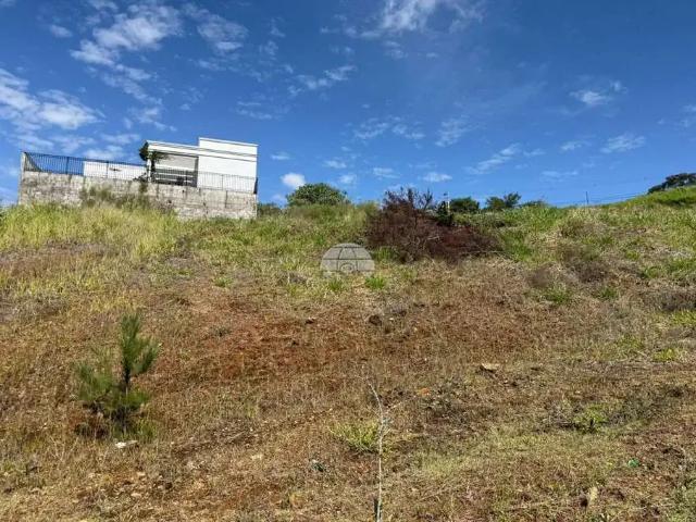 Terreno / Lote para Venda em Pato Branco/PR Vila Isabel