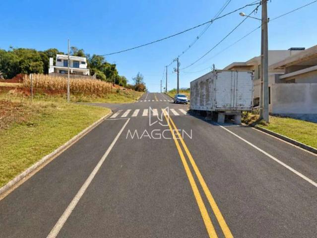 Terreno / Lote para Venda em Pato Branco/PR Vila Isabel
