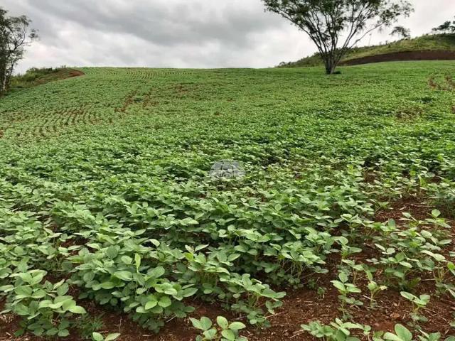 Terreno / Lote para Venda em Pato Branco/PR Zona Rural