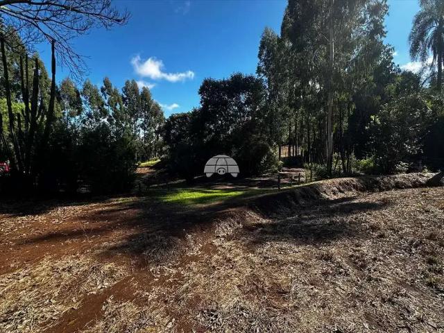 Terreno / Lote para Venda em Pato Branco/PR Zona Rural