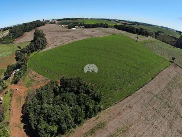 Terreno / Lote para Venda em Pato Branco/PR Zona Rural
