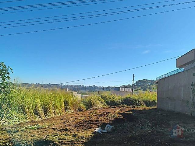 Terreno / Lote para Venda em Patos de Minas/MG Afonso Queiroz