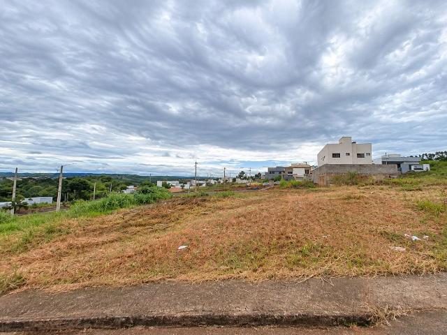 Terreno / Lote para Venda em Patos de Minas/MG Alto dos Caiçaras