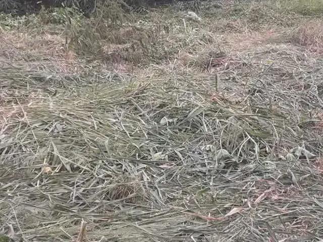 Terreno / Lote para Venda em Patos de Minas/MG Área Rural de Patos de Minas