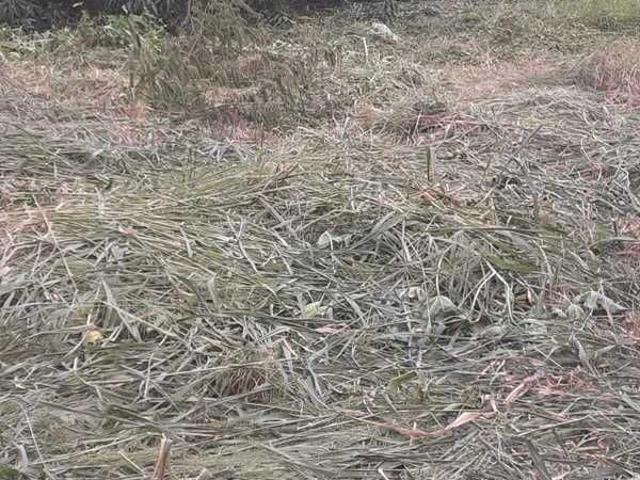 Terreno / Lote para Venda em Patos de Minas/MG Área Rural de Patos de Minas