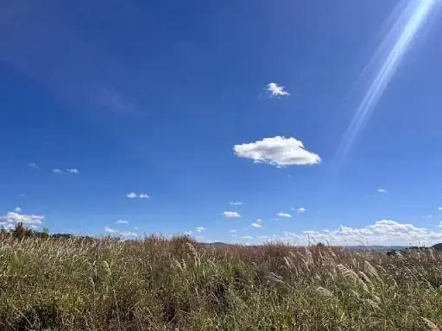 Terreno / Lote para Venda em Patos de Minas/MG Área Rural de Patos de Minas