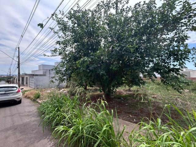 Terreno / Lote para Venda em Patos de Minas/MG Jardim Panorâmico