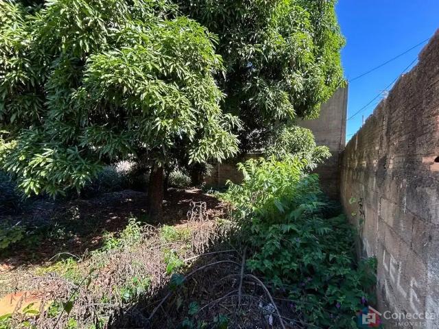 Terreno / Lote para Venda em Patos de Minas/MG São Francisco