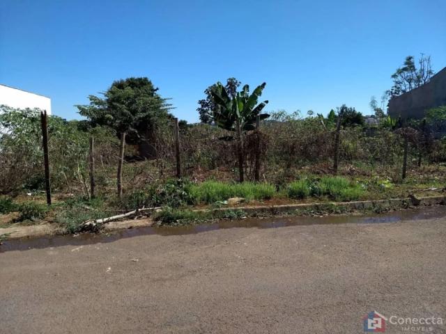 Terreno / Lote para Venda em Patos de Minas/MG Valparaíso