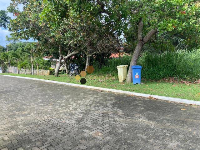 Terreno / Lote para Venda em Paudalho/PE Aldeia dos Camarás