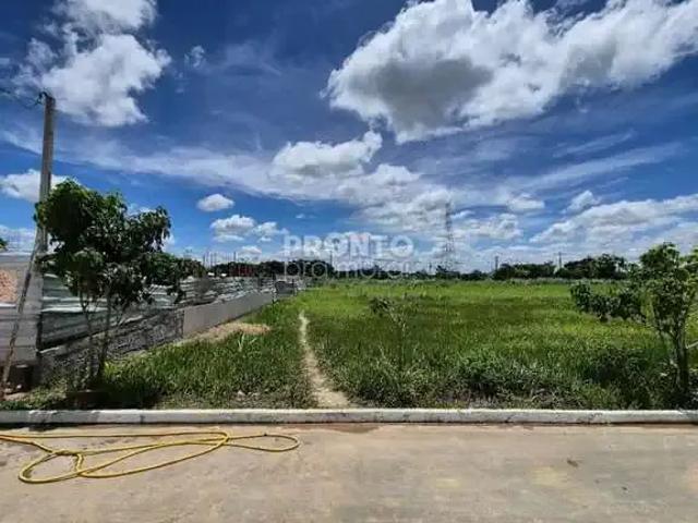 Terreno / Lote para Venda em Paudalho/PE Aldeia dos Camarás