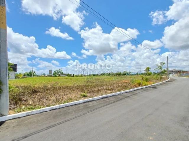 Terreno / Lote para Venda em Paudalho/PE Aldeia dos Camarás