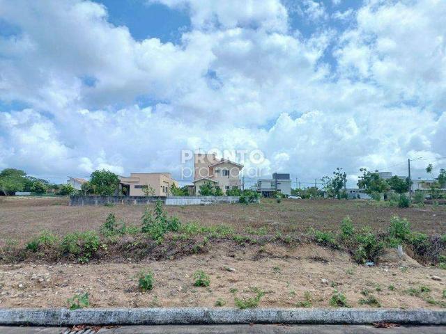 Terreno / Lote para Venda em Paudalho/PE Aldeia dos Camarás