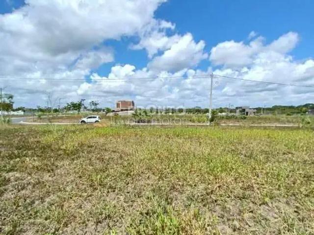 Terreno / Lote para Venda em Paudalho/PE Aldeia dos Camarás
