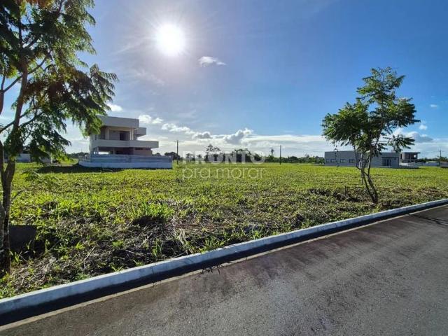Terreno / Lote para Venda em Paudalho/PE Aldeia dos Camarás