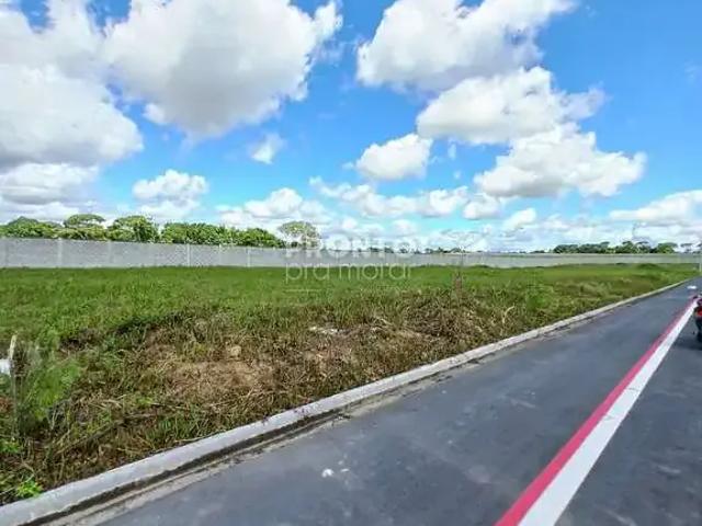 Terreno / Lote para Venda em Paudalho/PE Aldeia dos Camarás