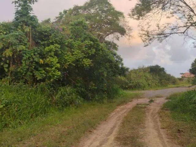 Terreno / Lote para Venda em Paudalho/PE Centro