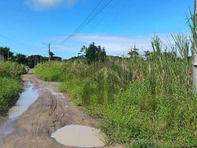 Terreno / Lote para Venda em Paudalho/PE Vila Chã de Cruz
