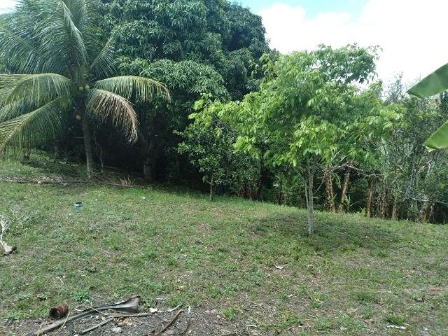 Terreno / Lote para Venda em Paudalho/PE Zona Rural