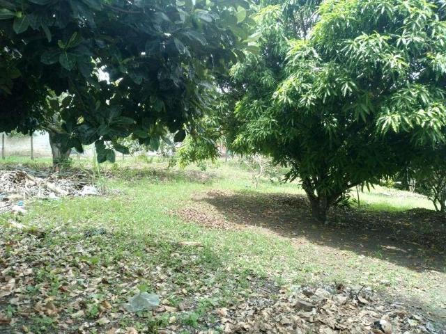 Terreno / Lote para Venda em Paudalho/PE Zona Rural