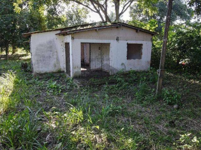 Terreno / Lote para Venda em Paudalho/PE Zona Rural