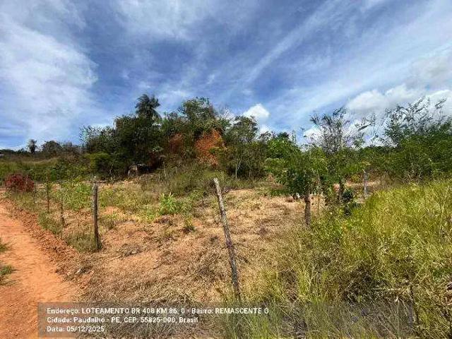 Terreno / Lote para Venda em Paudalho/PE Zona Rural