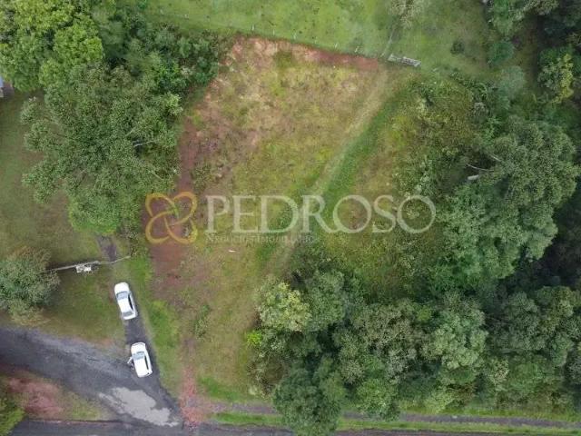 Terreno / Lote para Venda em Paula Freitas/PR Rondinha