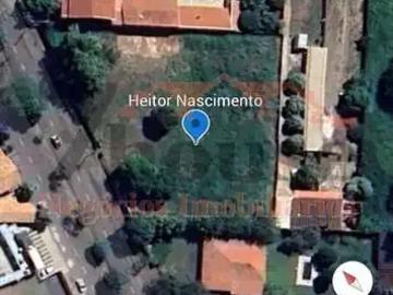 Terreno / Lote para Venda em Paulínia/SP Morumbi