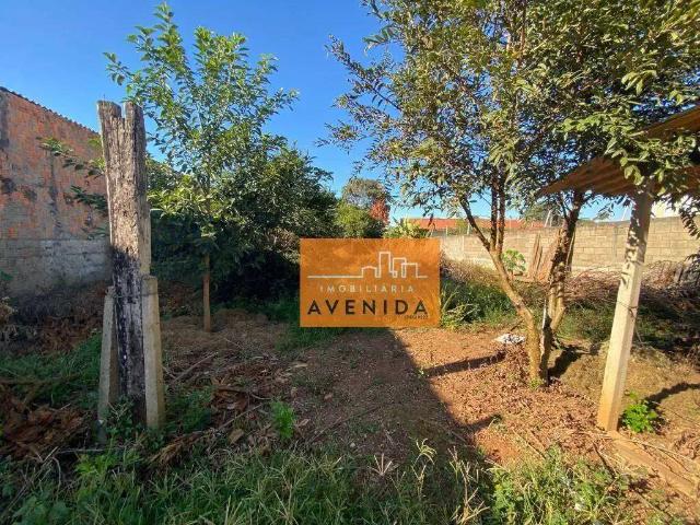 Terreno / Lote para Venda em Paulínia/SP Morumbi