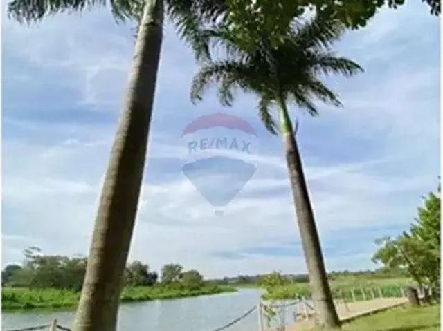 Terreno / Lote para Venda em Paulínia/SP Nova Veneza