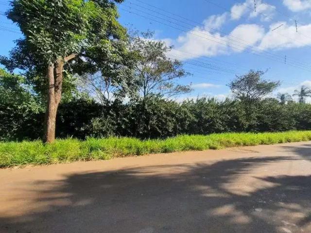 Terreno / Lote para Venda em Paulínia/SP Nova Veneza