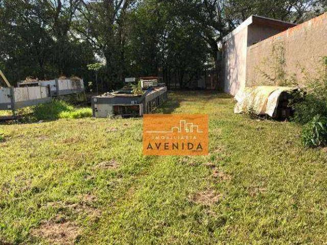 Terreno / Lote para Venda em Paulínia/SP Nova Veneza