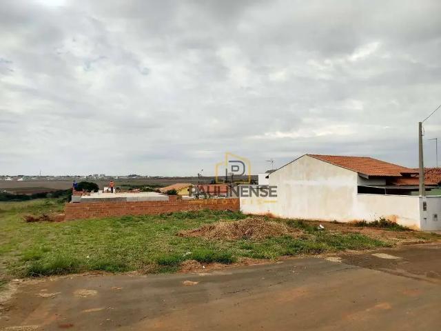 Terreno / Lote para Venda em Paulínia/SP Nova Veneza