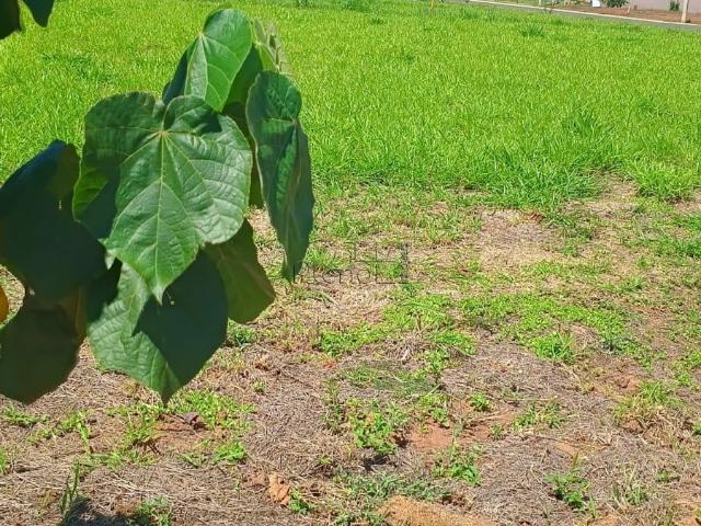 Terreno / Lote para Venda em Paulínia/SP Boa Esperança