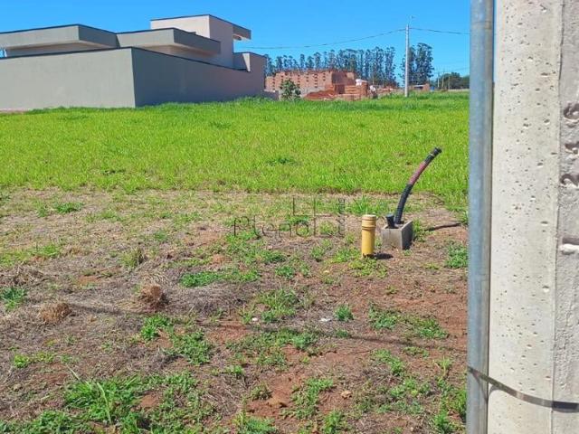 Terreno / Lote para Venda em Paulínia/SP Boa Esperança