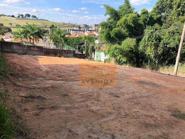 Terreno / Lote para Venda em Paulínia/SP Jardim Ypê