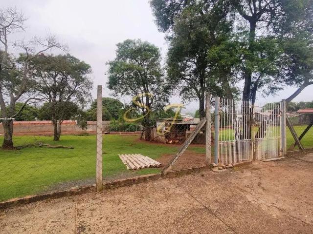 Terreno / Lote para Venda em Paulínia/SP Patropi