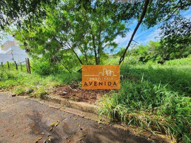 Terreno / Lote para Venda em Paulínia/SP São Luiz