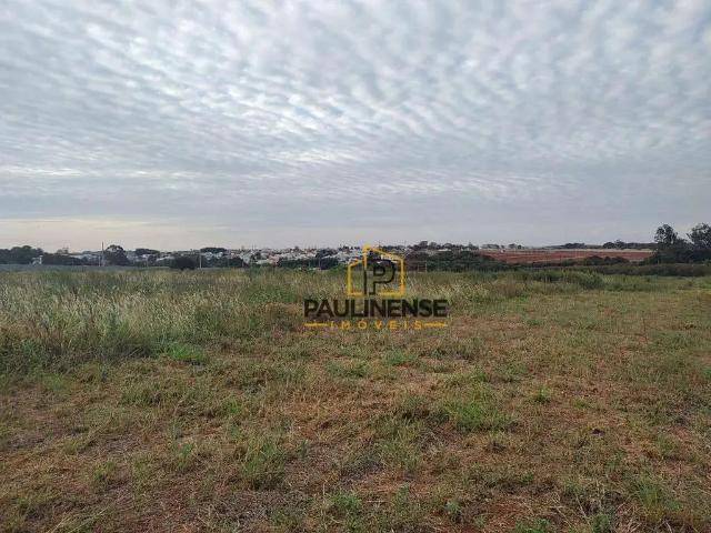 Terreno / Lote para Venda em Paulínia/SP Santa Terezinha