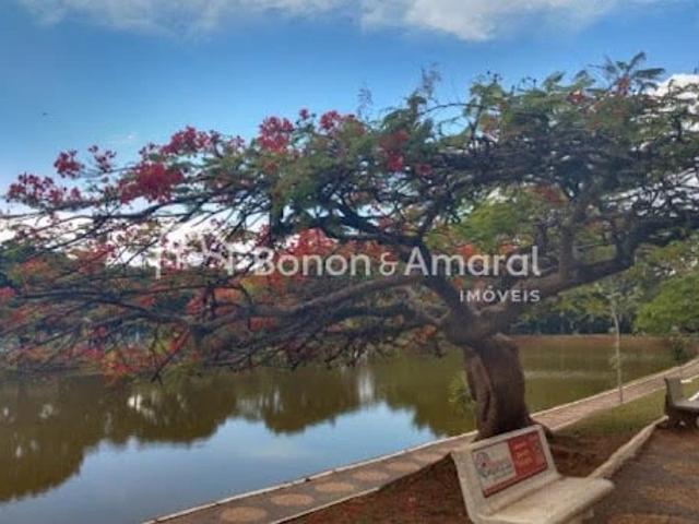 Terreno / Lote para Venda em Paulínia/SP Santa Terezinha