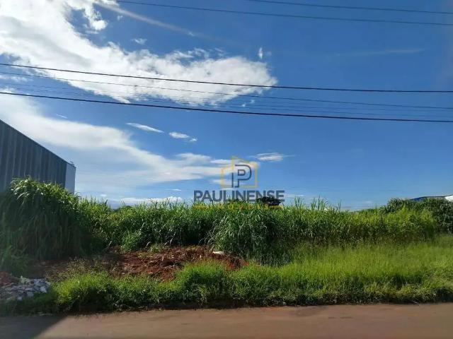 Terreno / Lote para Venda em Paulínia/SP Santa Terezinha